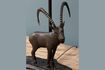 Miniature Aries brown brass table lamp 4