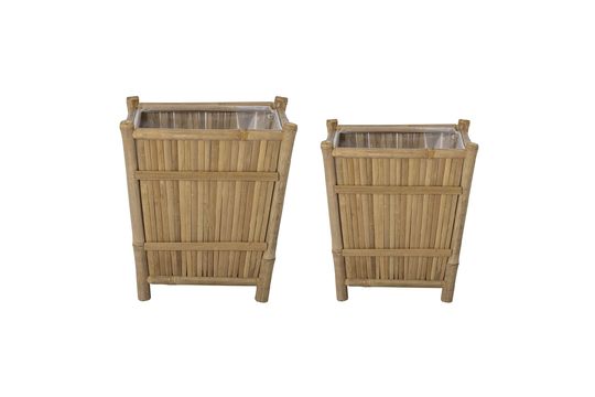 Bamboo flower pots Sole