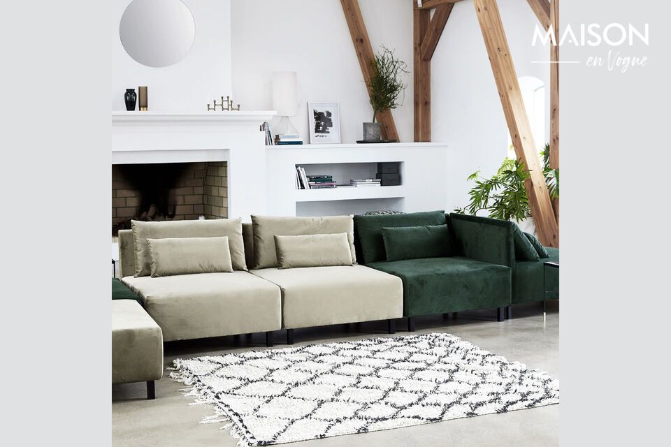 Elegance and comfort for your living room with this black and white cotton rug.