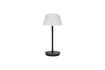 Miniature Black glass table lamp Salon 1