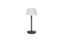 Miniature Black glass table lamp Salon Clipped