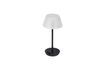 Miniature Black glass table lamp Salon 2