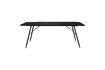 Miniature Black wooden dining table 200cm Roger 8