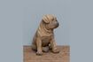 Miniature Brown resin dog figurine Pug 2