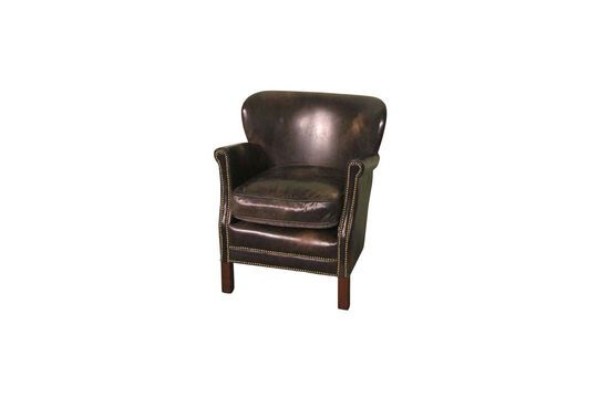 Camdenturner brown leather armchair Clipped