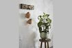 Miniature Carveo 3-hook coat hook in light scultped wood 3