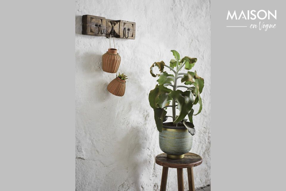 Discover the Carveo coat hook, a refined blend of elegance and environmental responsibility