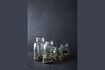 Miniature Clear glass vase H20 Flowper 5