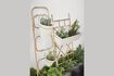 Miniature Cream planter Hanger 2