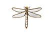 Miniature Dragonfly figurine in gold resin Mirrors 1