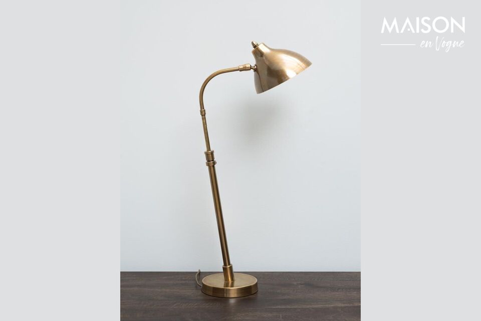 Capture elegance and functionality with this dazzling lamp.