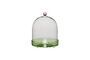 Miniature Flora green glass cloche Clipped