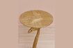 Miniature Giraffe gold metal side table 5