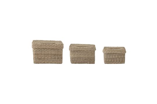 Givan sea rush baskets with lid