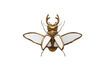 Miniature Gold resin insect figurine Mirrors 1