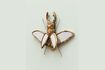 Miniature Gold resin insect figurine Mirrors 3