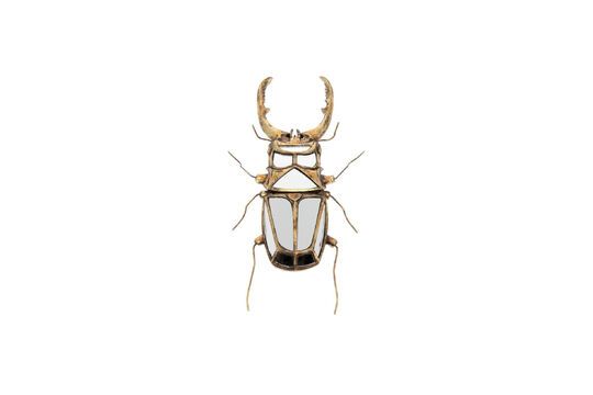 Gold resin insect wall figurine Mirrors Clipped