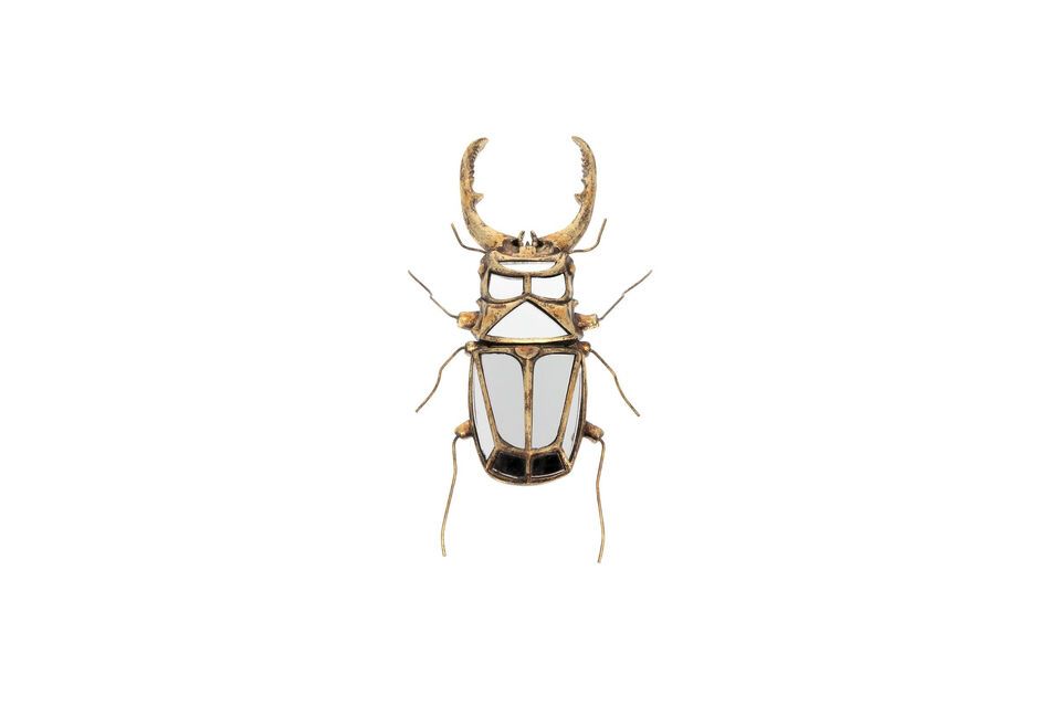 Gold resin insect wall figurine Mirrors Chehoma