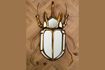 Miniature Gold resin scarab mirror Mirrors 2