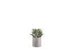 Miniature Grey glass planter H12 Glower 2