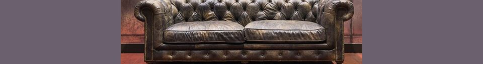 Material Details James 3-seater sofa in copper leather