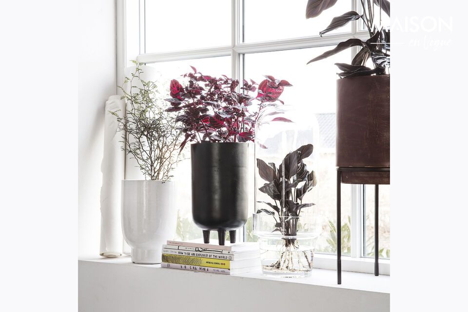 Elegance and lightness for your plants, in black aluminium.