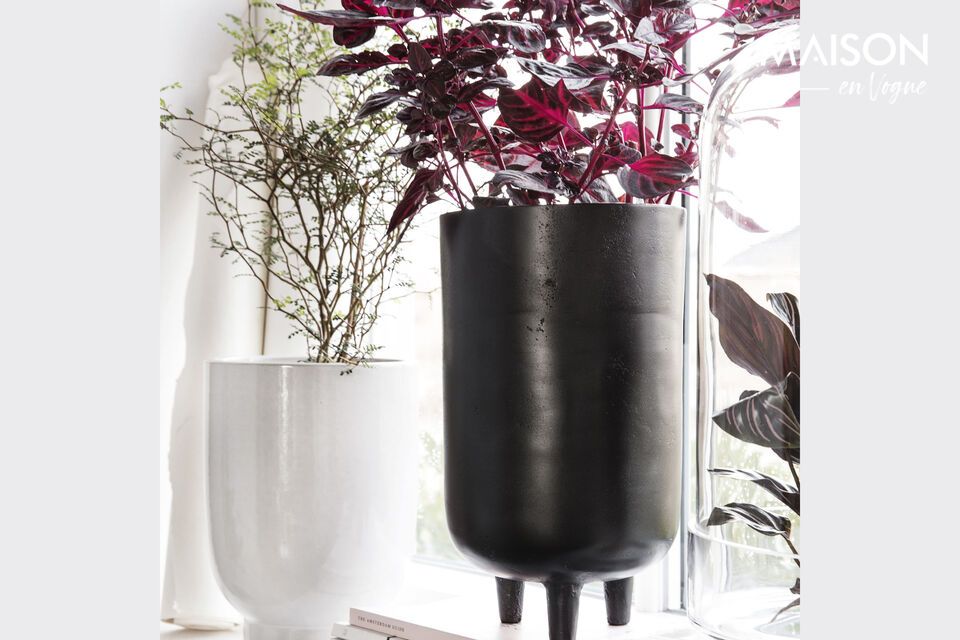 Discover the Jang planter, an elegant and contemporary choice to enrich your interior space