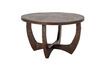 Miniature Jassy brown mango wood coffee table 1