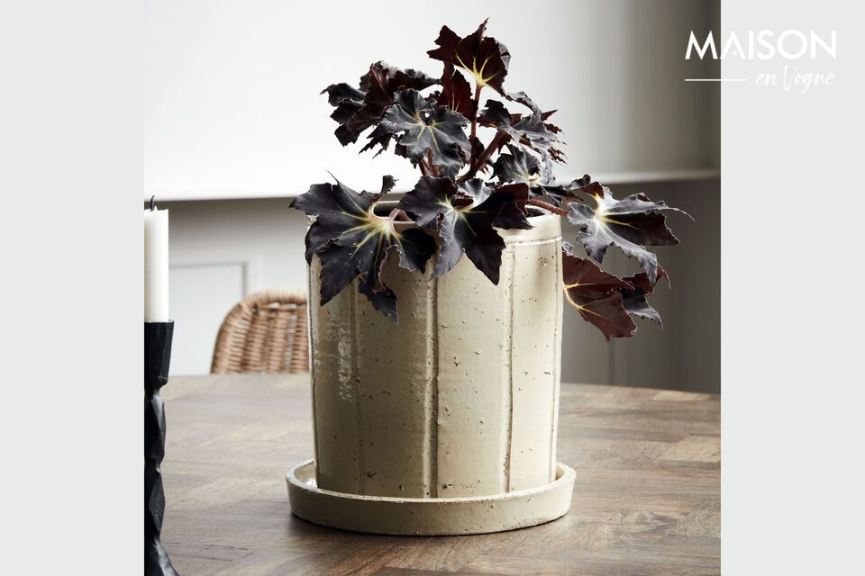 Timeless elegance for your interior in beige stoneware.