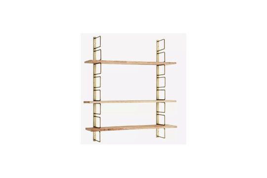 Metallic wall-mounted shelves Rack