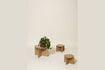 Miniature Nomad light wood planter 1