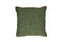 Miniature Opposites green cotton cushion Clipped