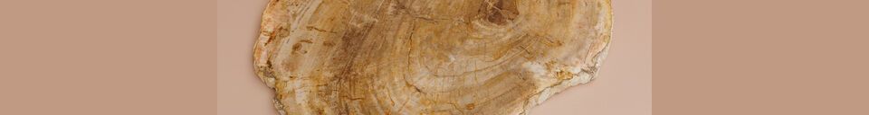 Material Details Petrified light wood cutting board