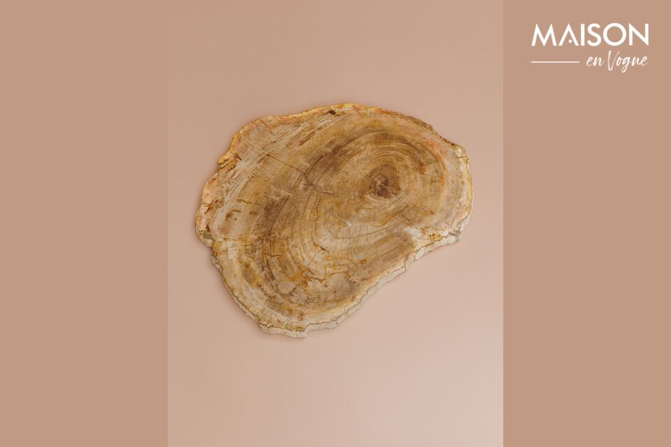 Petrified light wood cutting board Chehoma