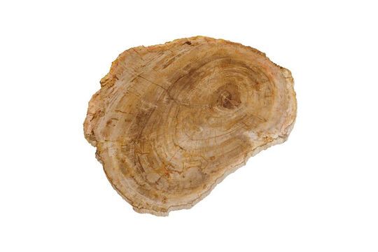 Petrified light wood cutting board Clipped