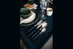 Miniature Set of 16 Renoir black stainless steel flatware sets 4