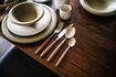 Miniature Set of 16 Renoir brown stainless steel flatware sets 3