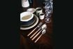 Miniature Set of 16 Renoir brown stainless steel flatware sets 5