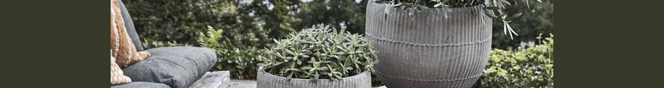 Material Details Set of 2 Brave grey cement planters