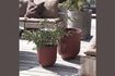 Miniature Set of 2 burgundy Vig metal planters 2