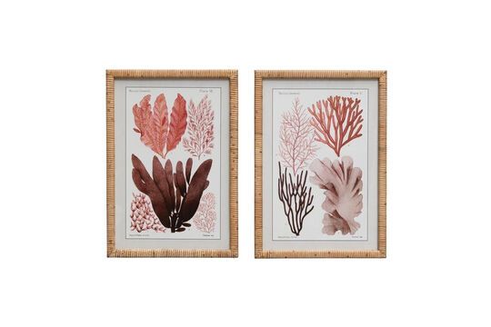 Set of 2 Coral light rattan frames Clipped