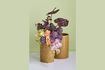 Miniature Set of 2 Edna brown ceramic planters 3