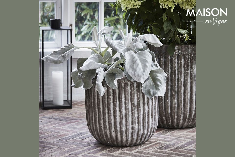 Discover the unique cachet of Pharao pottery planters