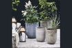 Miniature Set of 2 Pho grey ceramic planters 2