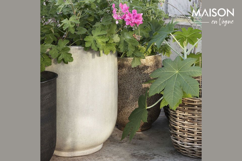 Discover the rustic elegance of the Pho pottery planter