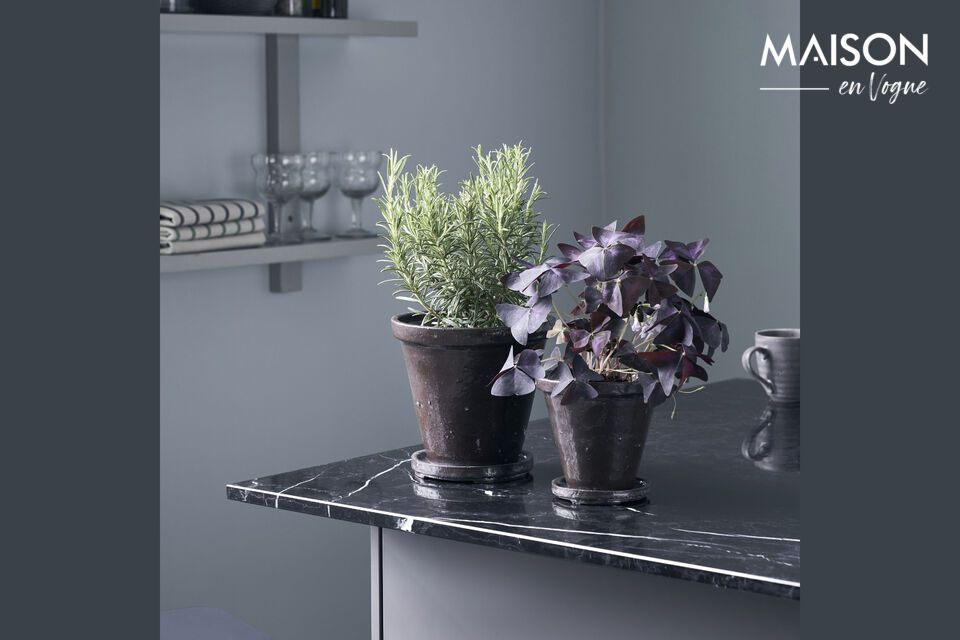 Enhance your interior with elegance, choose our brown stoneware planter.