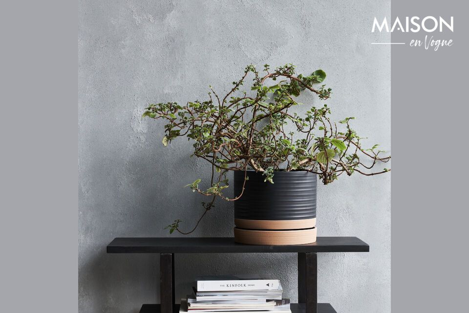 Contemporary elegance for your plants, in black and natural stoneware.