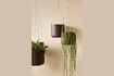 Miniature Set of 3 beige Bloom fabric planters 1