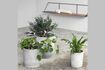 Miniature Set of 3 light grey Ave cement planters 2