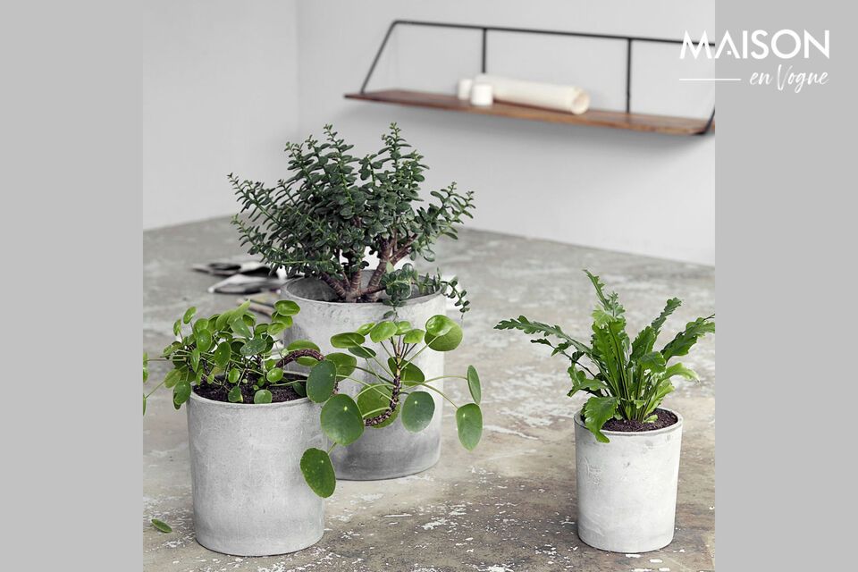 Minimalist elegance for your plants, in light grey cement.